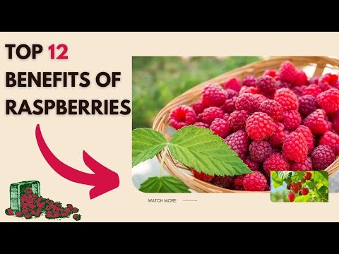 ◼Top 12 Incredible Benefits of Raspberries 🍑 How to Eat Raspberry ❤ Raspberries Health Benefits