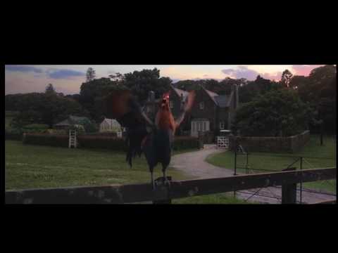 FDWB - Rooster in Peter Rabbit becomes a father