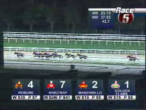 ROBURE (AUS) - SINGAPORE S$55,000 1600 M CLASS 4 HCP 11 01 2008
