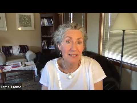 Near and Far Enemies of the Four Immeasurables with Lama Tsomo