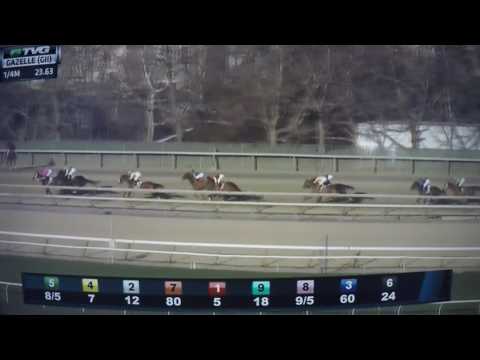 GAZELLE STAKES -MISS SKY WARRIOR!!!