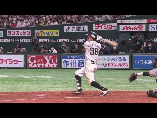 【4回裏】打撃絶好調!! ホークス・牧原大成 追加点のタイムリーヒットを放ち、11試合連続安打!! 2022年6月9日 福岡ソフトバンクホークス 対 阪神タイガース