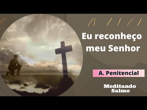 Senhor Eu Reconheço Que Errei - Católica