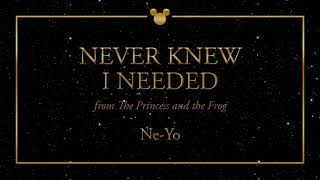 Disney Greatest Hits ǀ Never Knew I Needed - Ne-Yo
