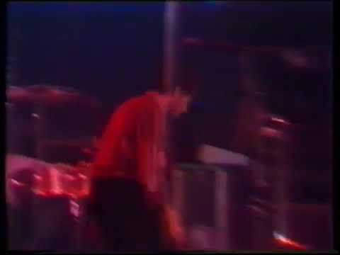 Doe Maar nederwiet Veronica