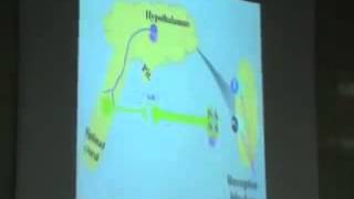 Dr Mohsen CVS 5 11 12 2014