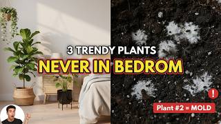 3 Trendy Plants NEVER in Bedroom (Plant #2 is Growing Mold) 🌿🚫