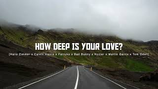 How Deep Is Your Love TIKTOK...