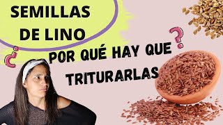 🌈 Cómo consumir Semillas de Lino y Chía - TRUCO para conseguir todos sus BENEFICIOS