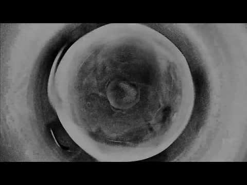 Mad Zach - No Past Lives