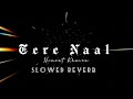 TERE NAAL [Slowed + Reverb] Nimrat Khaira |Slow Flow Music #terenal #nimratkhaira #slowedandreverb
