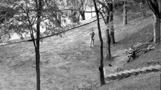 [JOB] Ballad Of Big Nothing