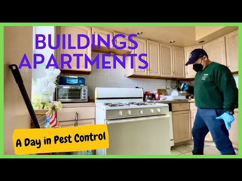How to do Pest Control in Building and Apartments.