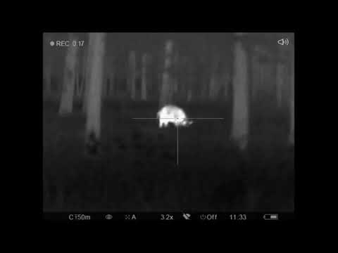 HogStrike 556 100gr05