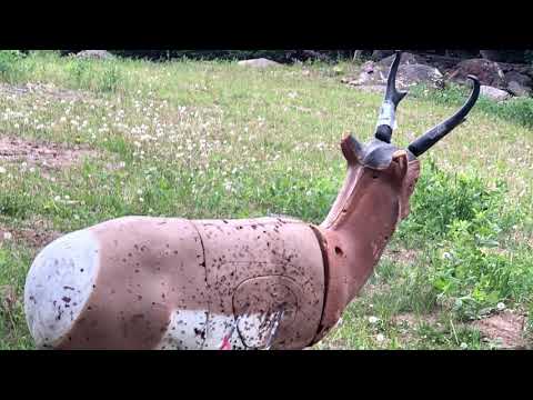 Sunrise Archery Shoot 2019