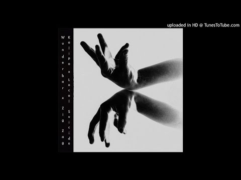 Kalipo & Local Suicide - Zig Zag (Back From The Wave Remix) [Hold Your Ground]