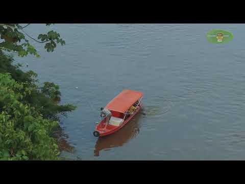 “Urucurituba – O Coração que Nasceu das Águas” Um tributo à fé, coragem e união do povo amazônico.