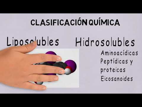 Sistema endócrino parte 1