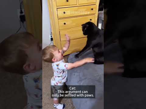 Cats and Kids Sharing One Brain Cell #funny #cat #pets
