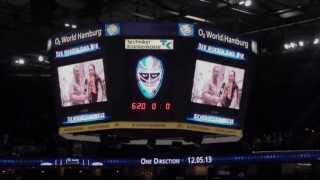 Hamburg Freezers Song ( Hoch im Norden )