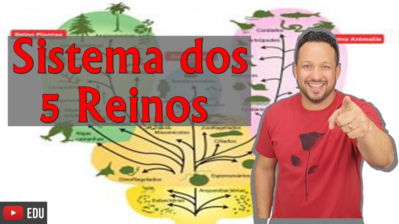 Sistema dos 5 Reinos - Classificação e Características - Biologia com o Tubarão