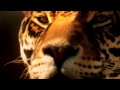 Welcome To Mexico Dubstep 