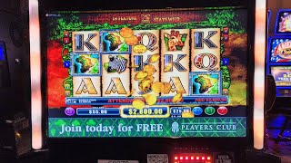 Download lagu 25$ spins Wildlife Bonus triggered* mp3