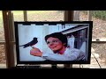 Opening To Robin Hood 1994 Vhs