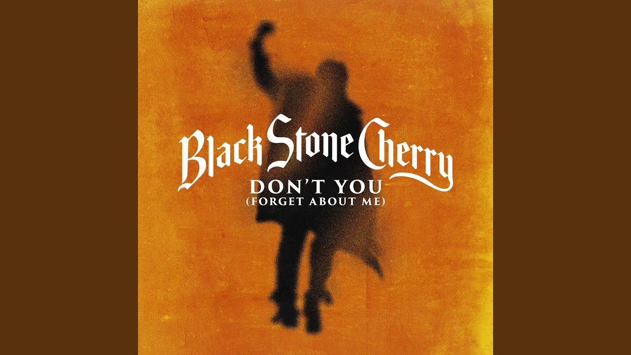 BLACK STONE CHERRY