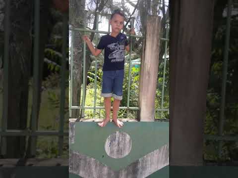 Aventura nas alturas.