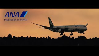 「MSFS」ANA  All Nippon Airways (PV風)