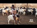 NDAMA JIGUSHILAGA UJUMBE WA SHIGELA