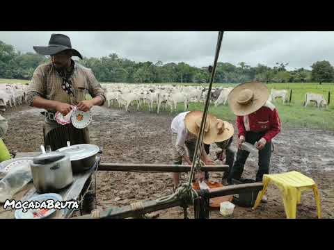 Comitiva levando boiada. Boiadeiro errante.