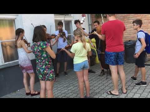 Métatábor 2018 - Csapatokra bontva... :)