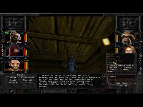 [Wizardry 8] Custom RPC, Fully voice acted! Faerie Alchemist/Ninja. 1.28 Compatible!