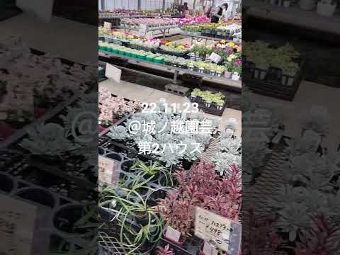 ヴァル ジョアニ城