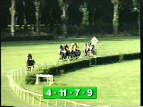 Derby Arabskie 2002   GAFAL