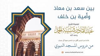 صورة 9 قصة سعد بن معاذ وأمية بن خلف - الشيخ عبدالقادر شيبة الحمد رحمه الله