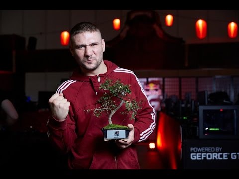 🎬 ISDD's Most Intense Moments of 2016 🎬