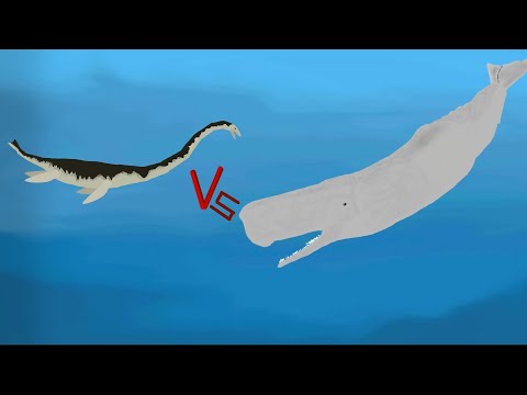 DCBA: Loch Ness Monster VS Moby Dick