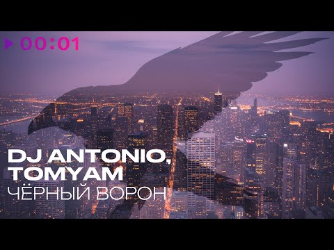Dj Antonio, TomYam - Чёрный ворон | Official Audio | 2025