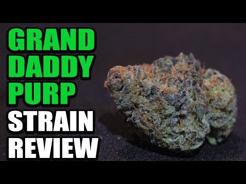 Grand Daddy Purple Strain Review (GDP) | Cannabis Lifestyle TV