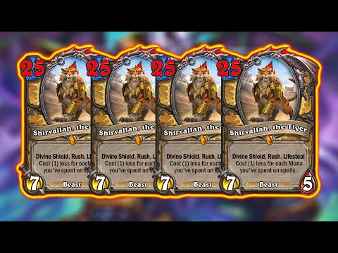 I Have A New Cat! Tiger & Paladin Is Like Peanut Butter & Jelly! Barrens Mini-Set Wild | Hearthstone