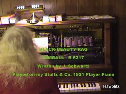 BLACK   BEAUTY   RAG  -  Player Piano Roll