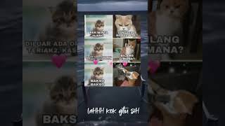 Download lagu Sa ae lu #foryou #freefire #meme #memes mp3