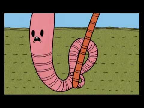 THE DEATH OF WORMBOY