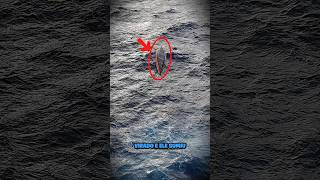 ELE ATRAVESSOU O ATLÂNTICO A DERIVA SOZINHO...