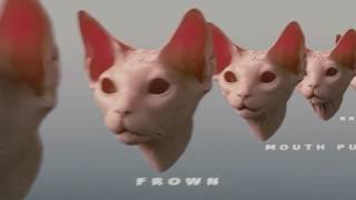 Cats and Dogs 2 Tippett Studio Breakdown Reel