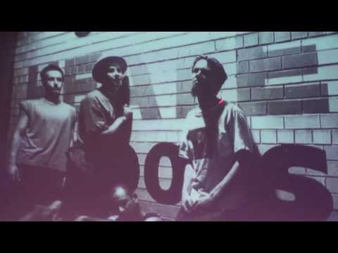 The Fauves - A History