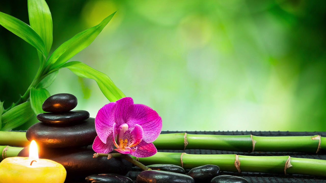 Meditação Guiada ThetaHealing - Amor Incondicional